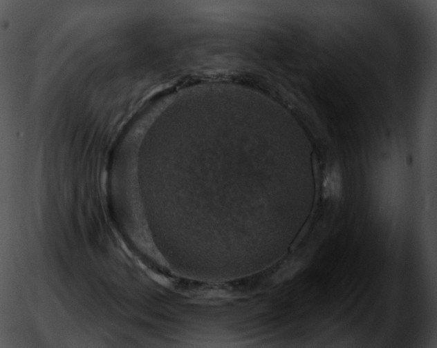 X0000051891156200507020049