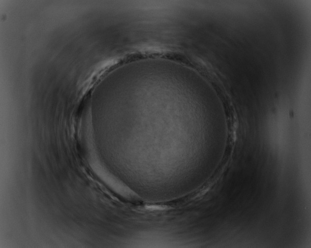 X0000051891157200507020049