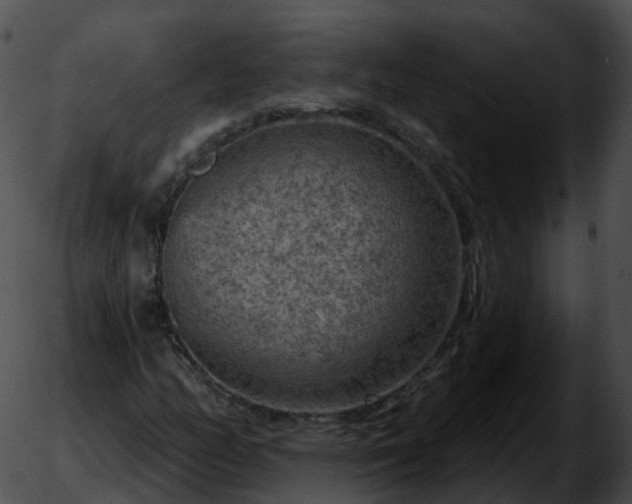 X0000051891158200507020049