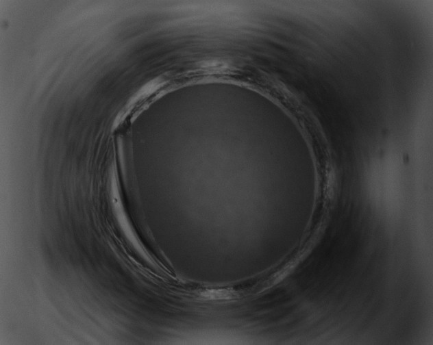 X0000051891161200507020048