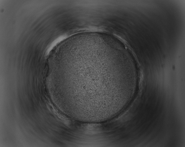 X0000051891163200507020048