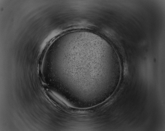 X0000051891164200507020048