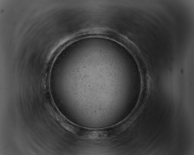 X0000051891166200507020048