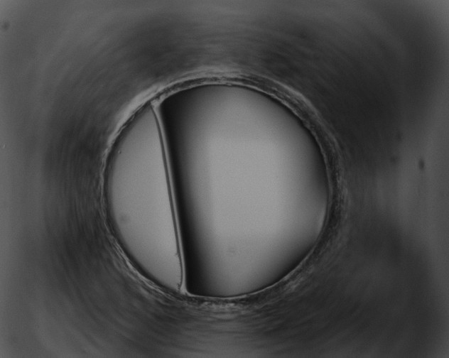 X0000051891168200507020048