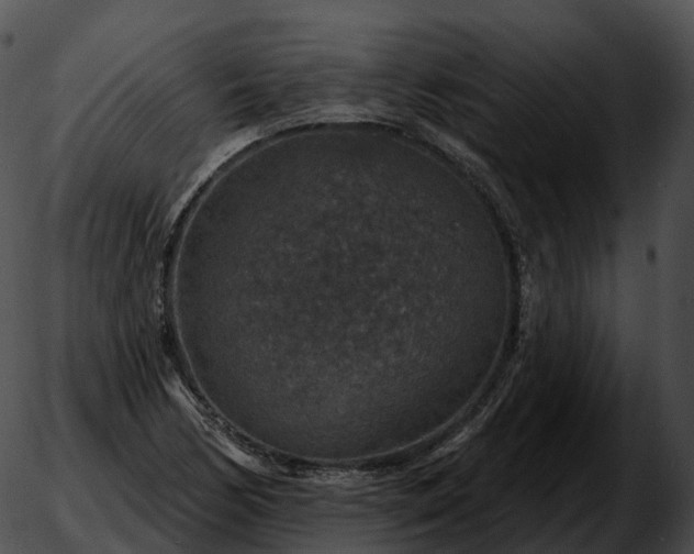 X0000051891170200507020048