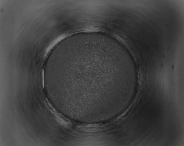 X0000051891171200507020048