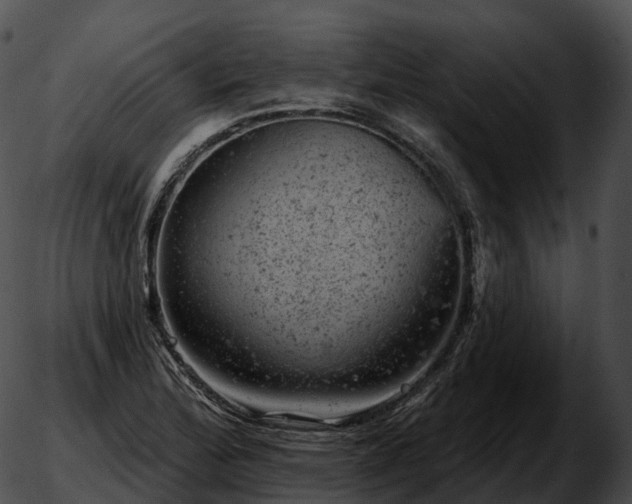 X0000051891172200507020048