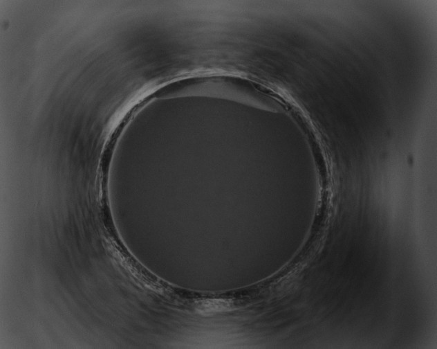 X0000051891173200507020048