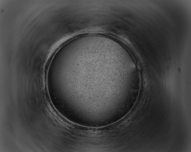 X0000051891176200507020048