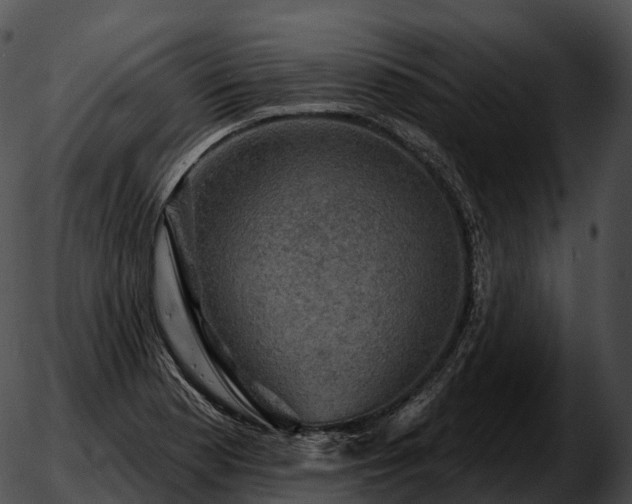 X0000051891177200507020048