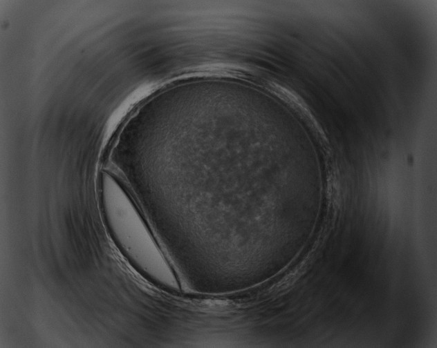 X0000051891180200507020048