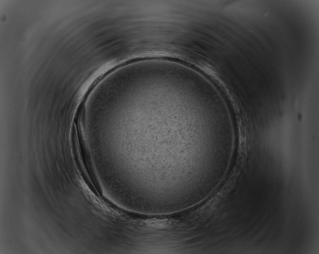 X0000051891181200507020048