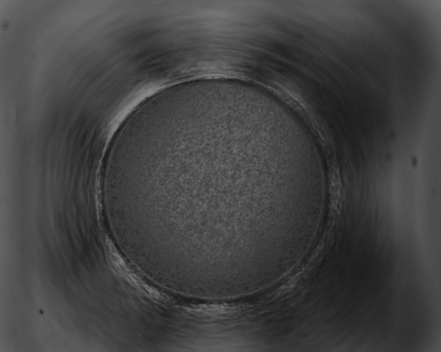 X0000051891182200507020048