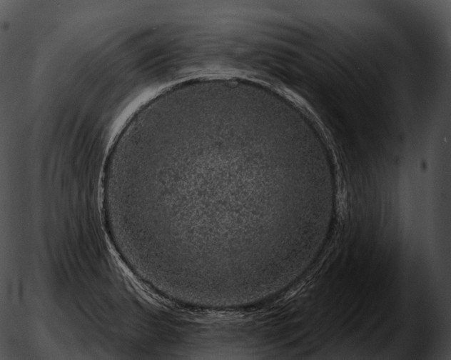 X0000051891183200507020048