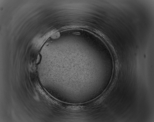 X0000051891185200507020048