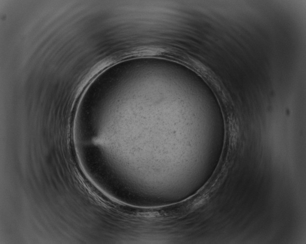 X0000051891186200507020048