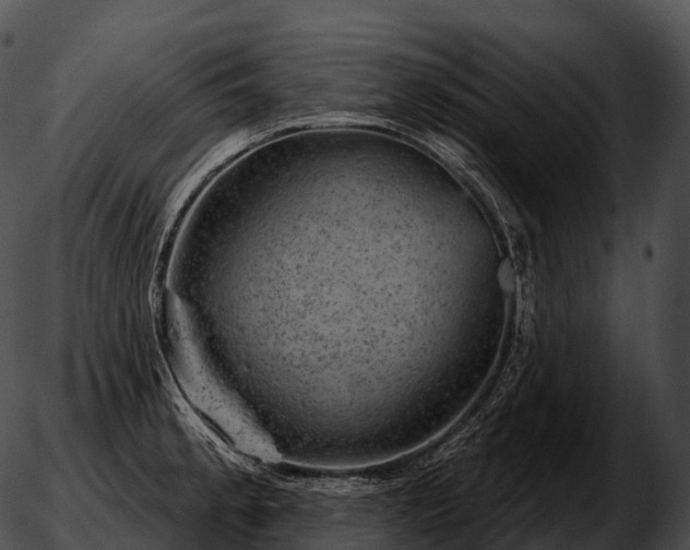 X0000051891189200507020048