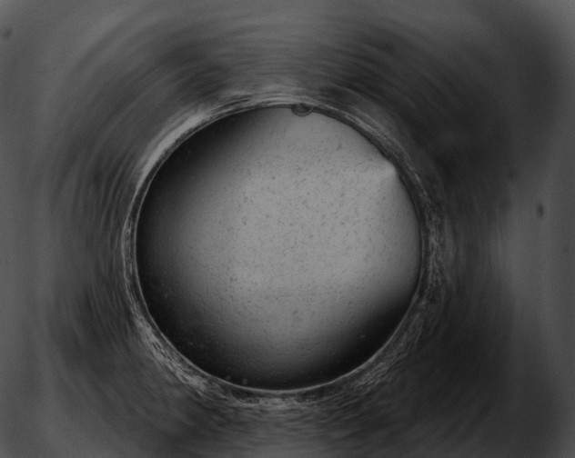 X0000051891190200507020048