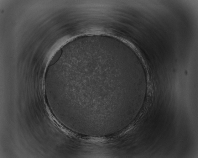 X0000051891191200507020048