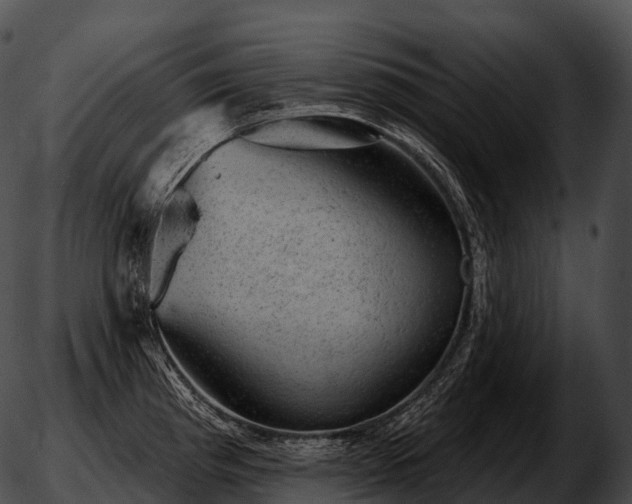 X0000051891193200507020048