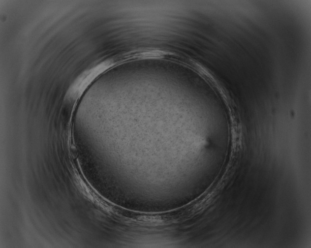 X0000051891194200507020048