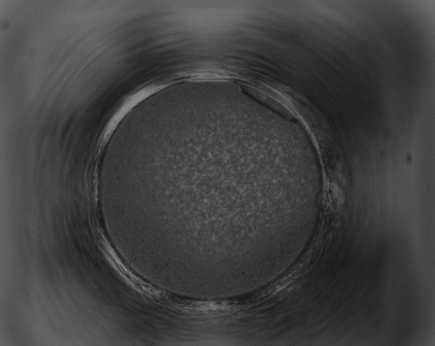 X0000051891195200507020048