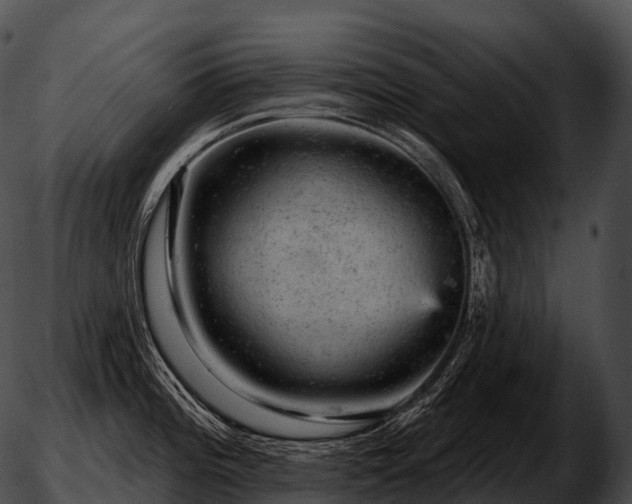 X0000051891196200507020048