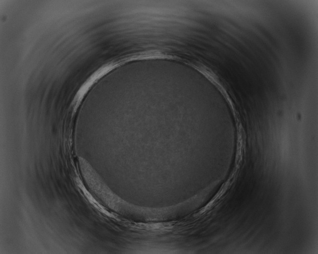 X0000051891197200507020048