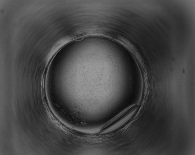 X0000051891198200507020048