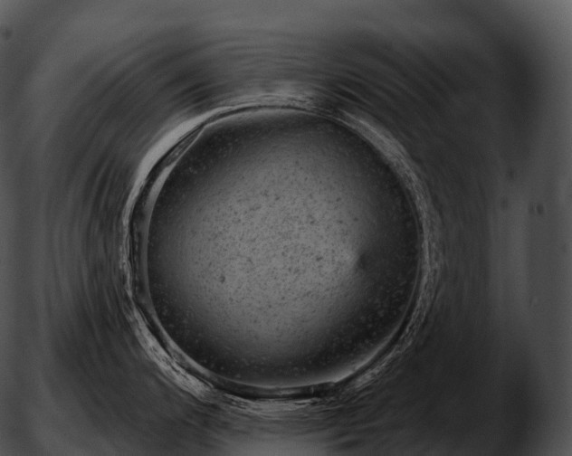 X0000051891200200507020048