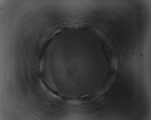 X0000051891202200507020047