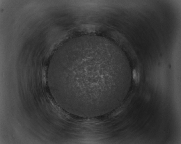 X0000051891203200507020047