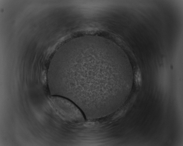 X0000051891204200507020047