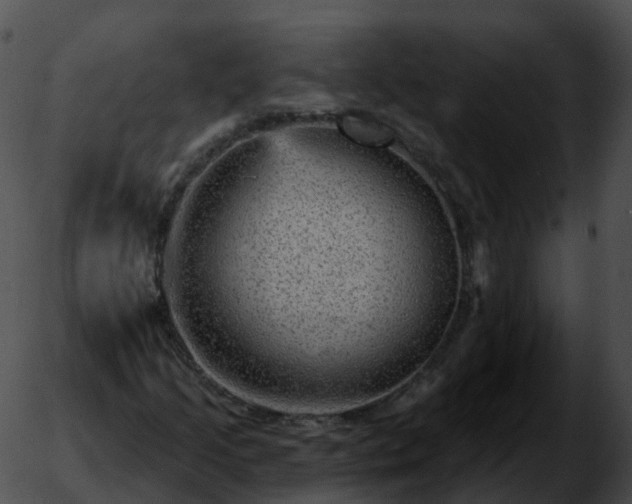 X0000051891205200507020047