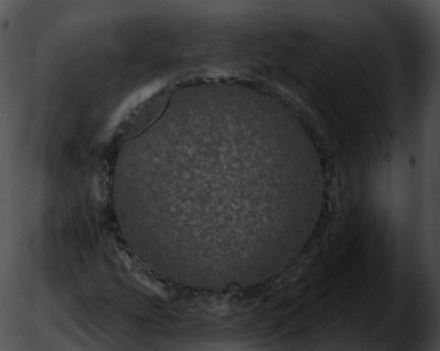 X0000051891207200507020047