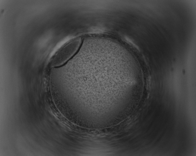 X0000051891208200507020047