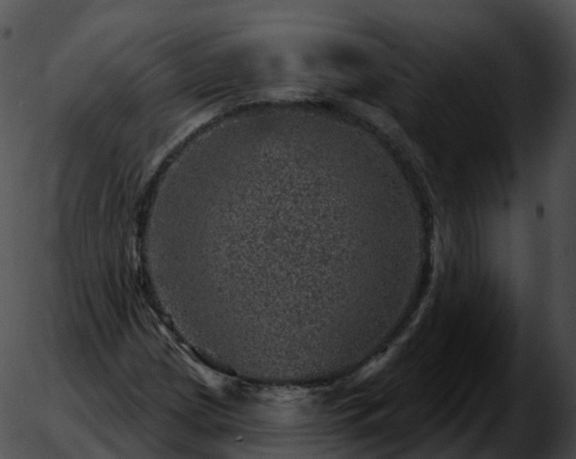 X0000051891209200507020047