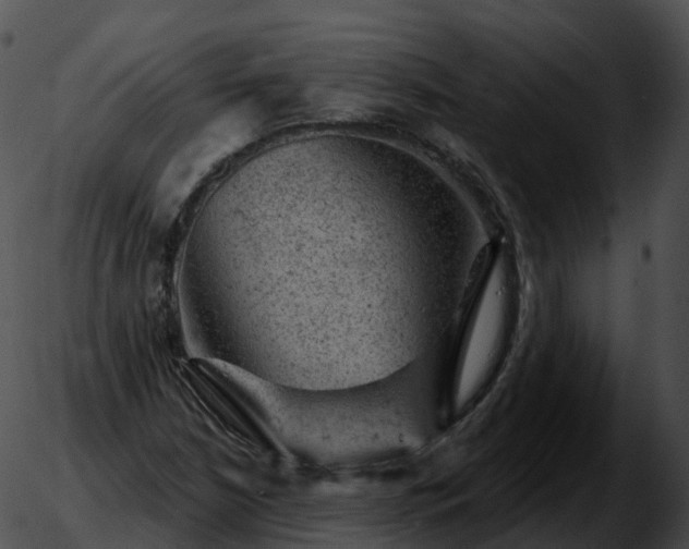 X0000051891210200507020047