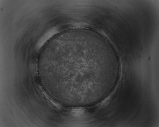 X0000051891211200507020047