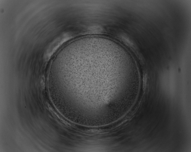 X0000051891212200507020047