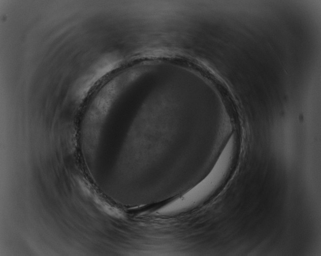 X0000051891213200507020047