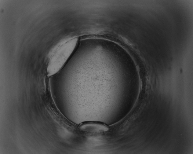 X0000051891214200507020047