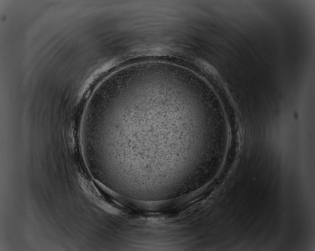 X0000051891218200507020047