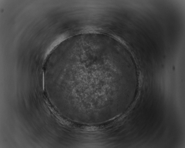 X0000051891219200507020047