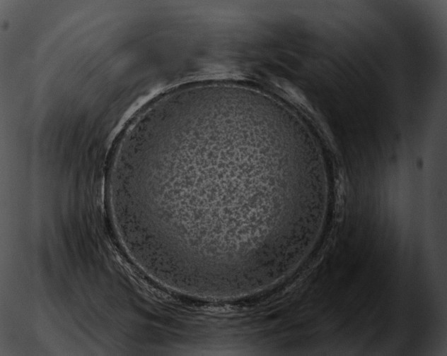 X0000051891220200507020047