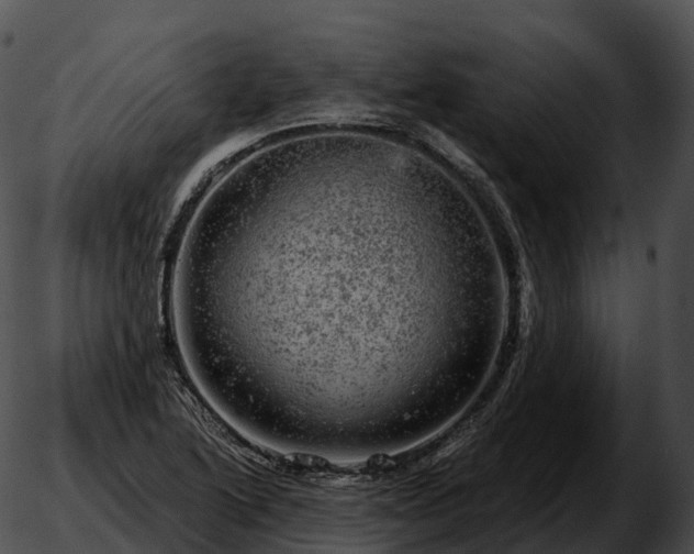 X0000051891222200507020047