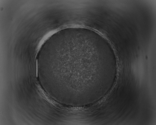 X0000051891223200507020047