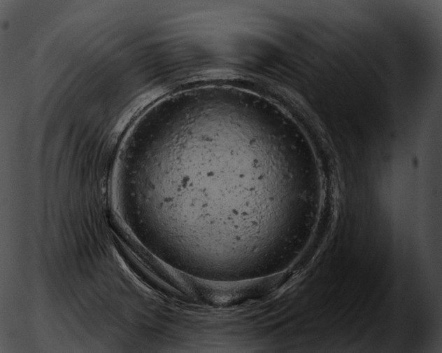 X0000051891225200507020047