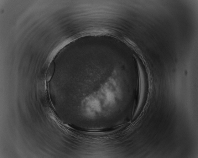 X0000051891226200507020047