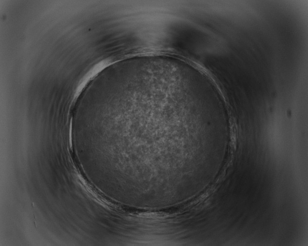 X0000051891227200507020047